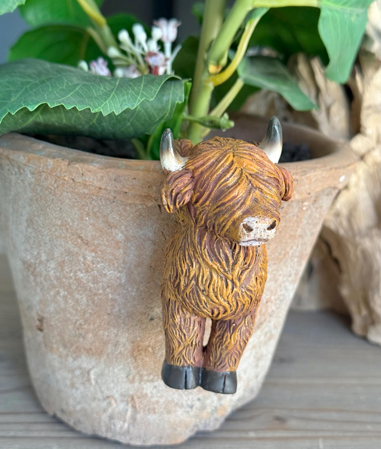 Sweet Highland Cow Pot Hanger - Hanging Backwards