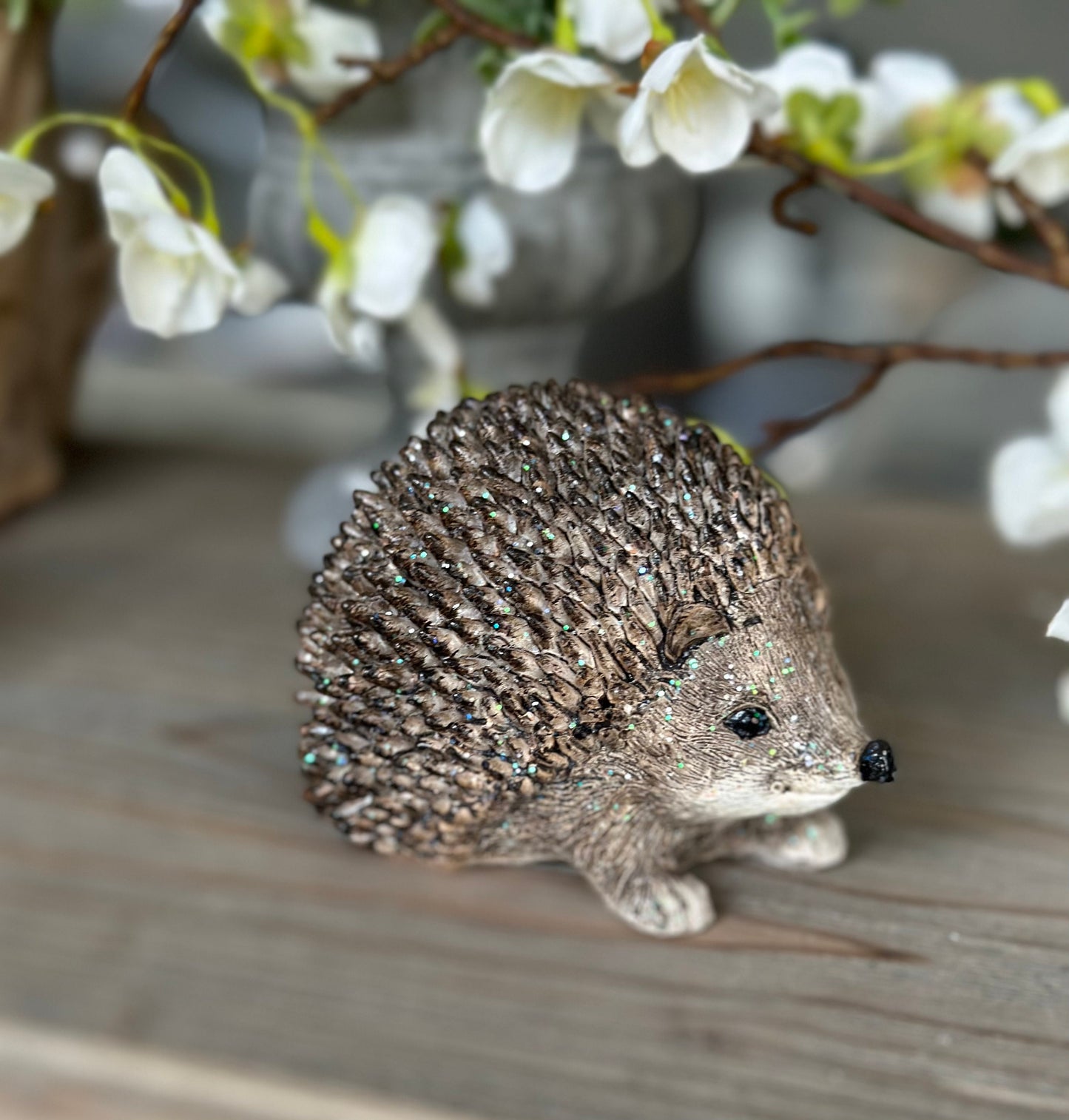 Adorable Little Posed Hedgehog