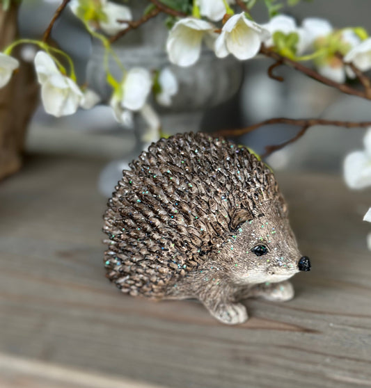 Adorable Little Posed Hedgehog
