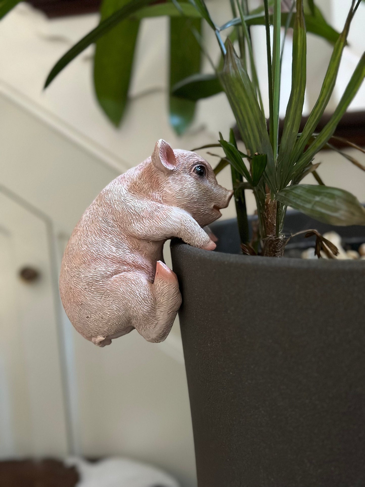 Large Pig Pot Hanger