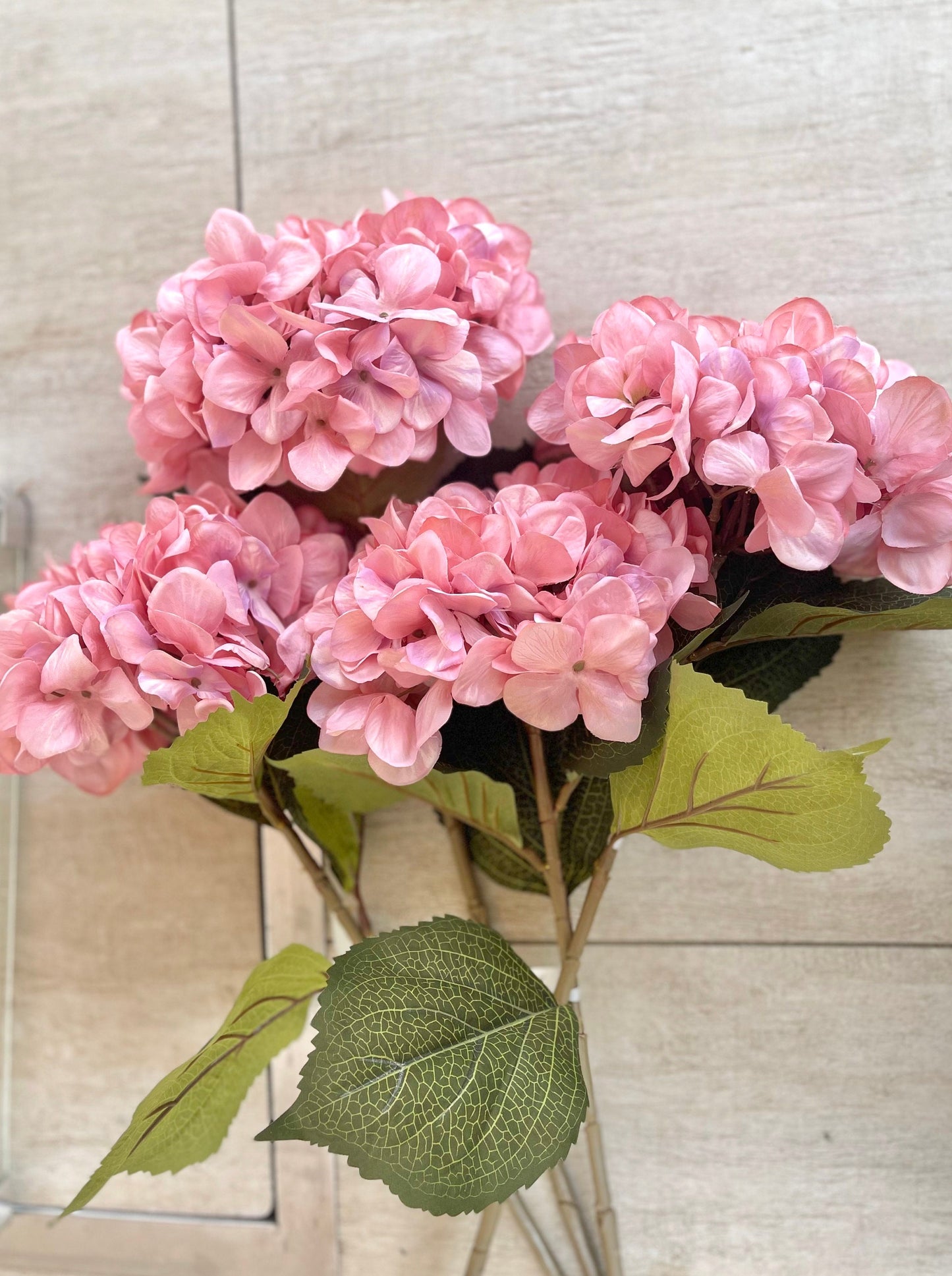 Pink Giant Hydrangea - 83cm