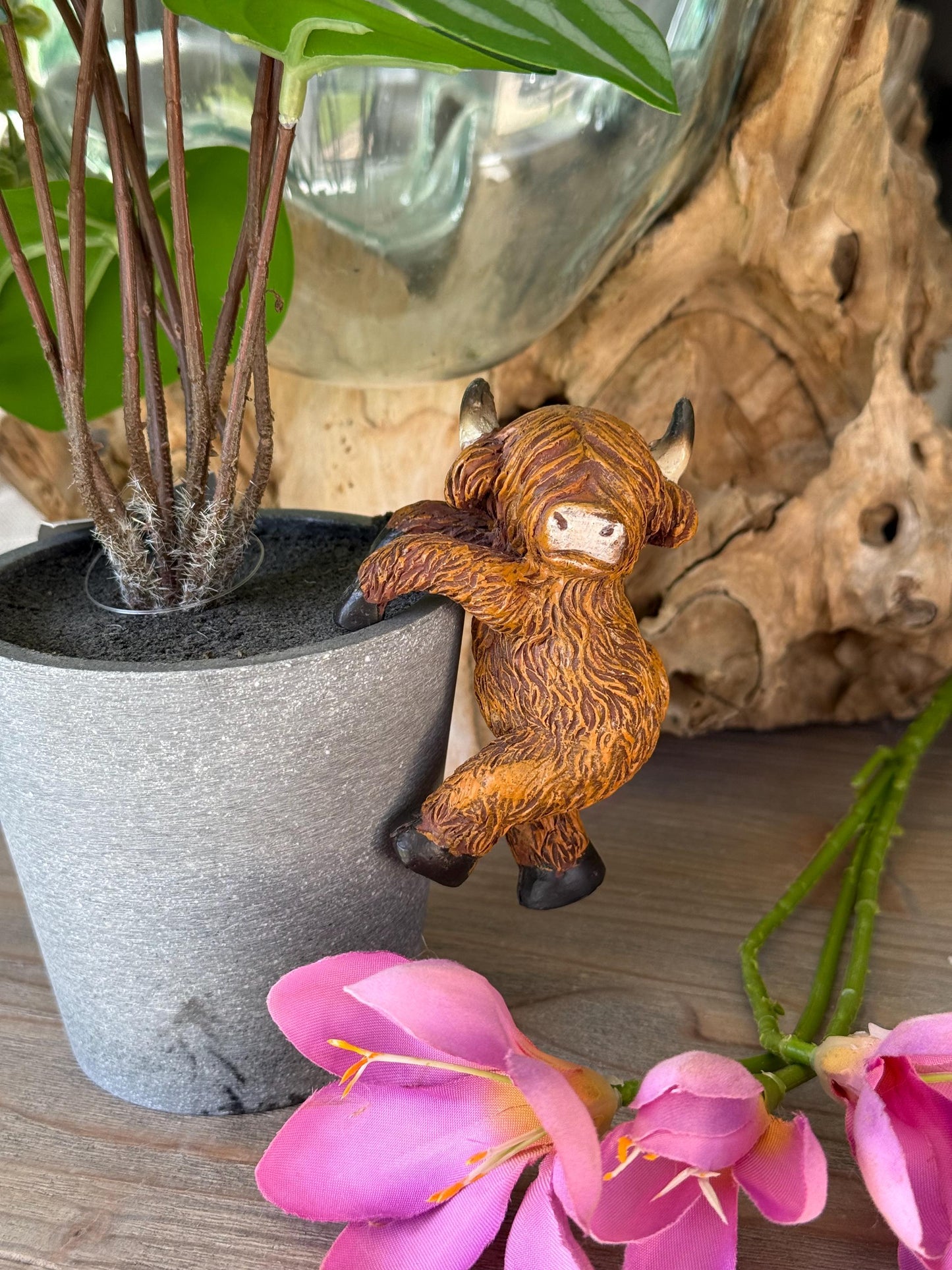 Sweet Highland Cow Pot Hanger - Facing Sideways